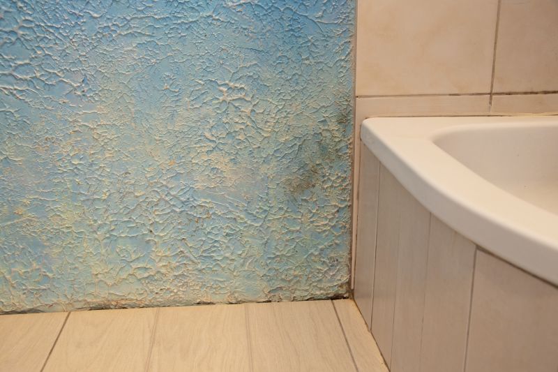 Attic Water Damage Repair in Denver, CO