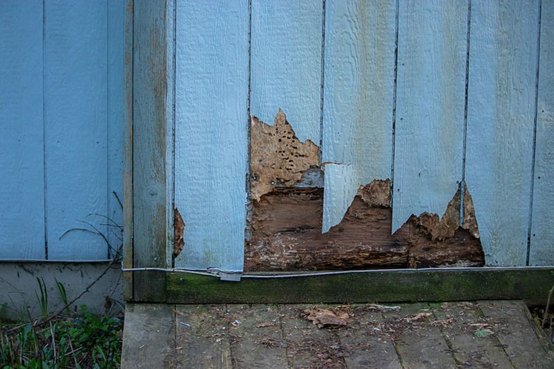Exterior Wall Repairs